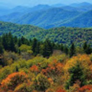 Meet your Posher, Jonie